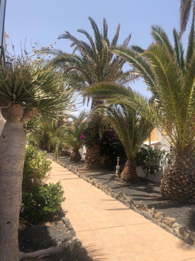 Apartamento Smile Complex Amaya Fuerteventura Costa De Antigua Eksteriør bilde